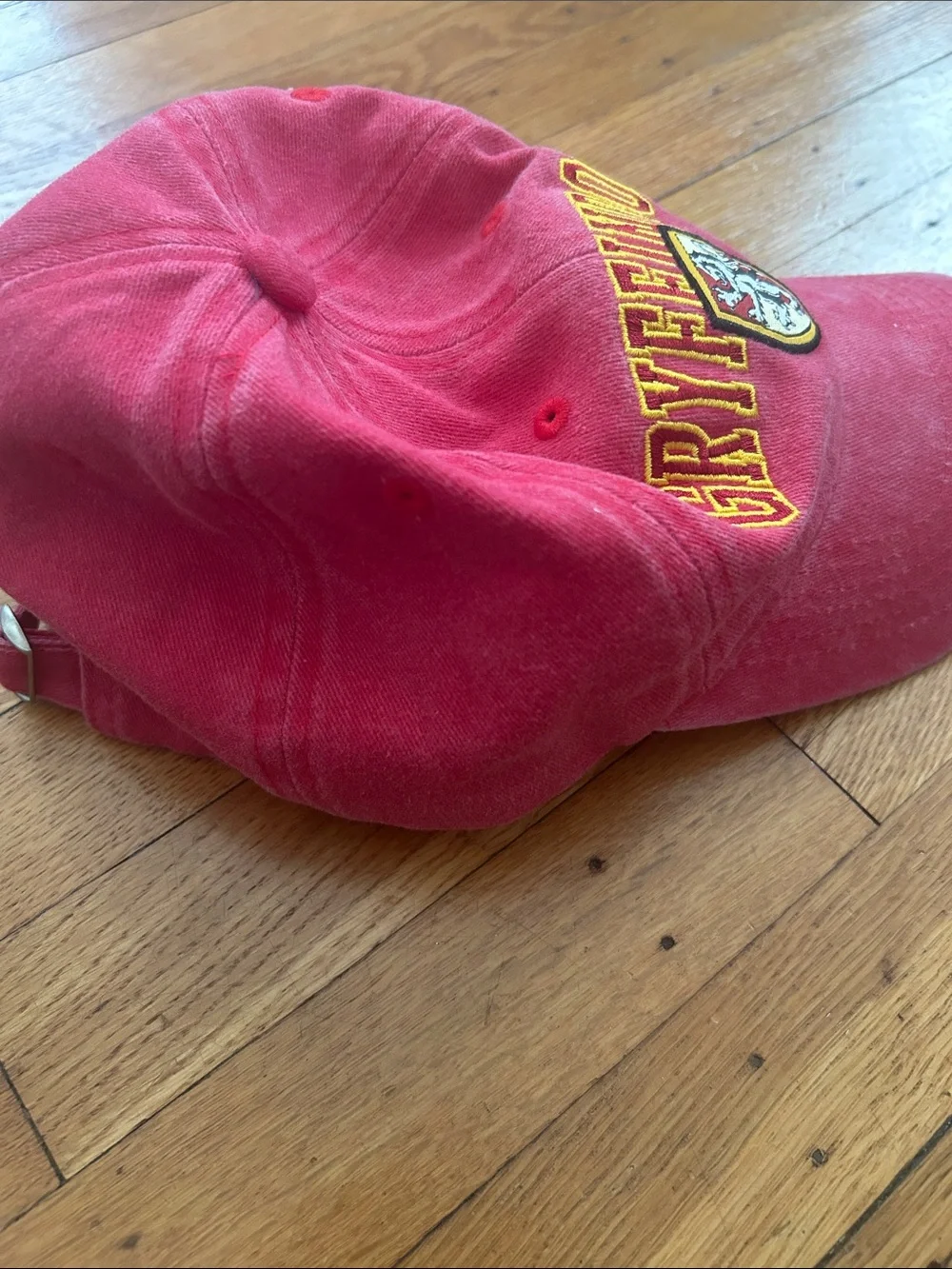 Brooklyn Cyclones Harry Potter Night 2025  Gryffindor Red Baseball Hat
